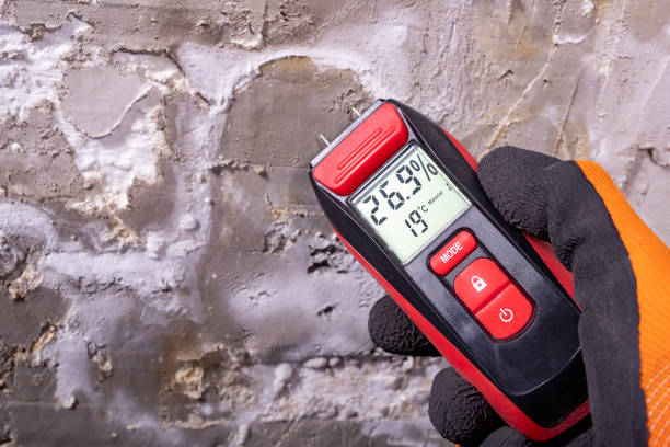 Best Mold Remediation  in Bayou Country Clu, LA